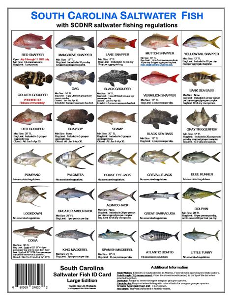 Scdnr fish regulations - Nongame Freshwater Fishing Regulations. Specific Regulations for Lake Jocassee. Lakes Blalock, Greenwood, Jocassee, Marion, Monticello, Moultrie, Murray, Secession, Wateree, Wylie, and the middle reach of the Saluda River and the upper reach of the Santee River—no largemouth bass less than 14 inches in total length. On Lake Jocassee, there is ...